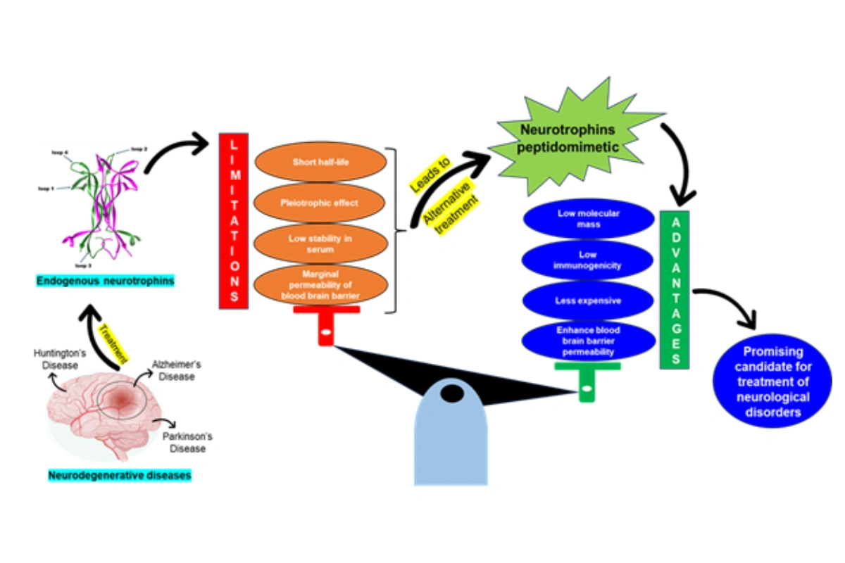 IASST Scientists Discover New Drug Candidates To Combat Neurodegenerative Diseases
