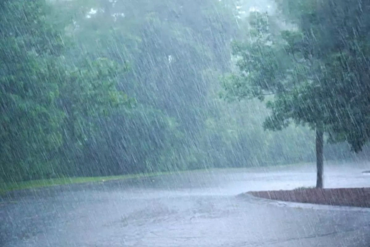 Above-Normal Monsoon To Boost Farm Output And Ease Inflation: Crisil Report