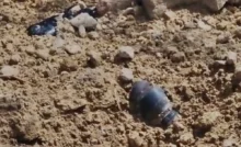 Bomb Scare Triggers High Alert In Jaisalmer As Security Measures