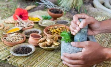 Ayurveda Tourism Rises As Global Travelers Seek Holistic Healing
