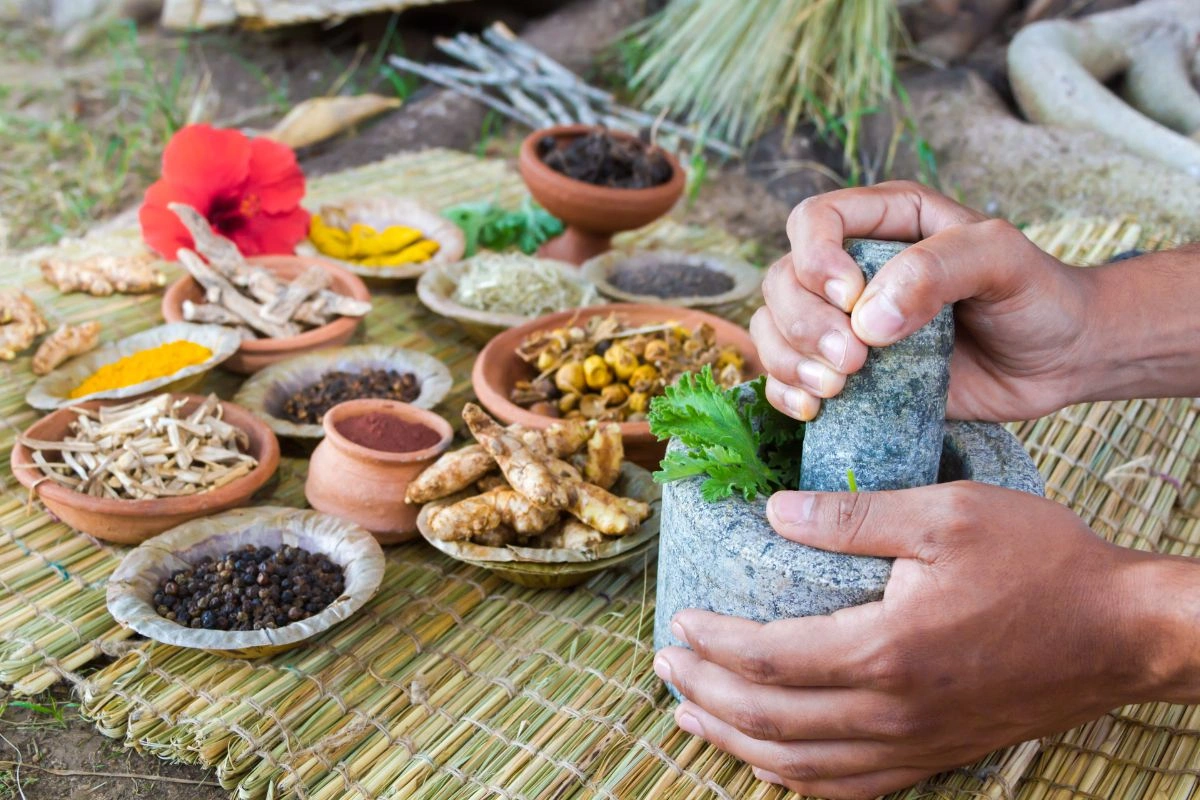 Ayurveda Tourism Rises As Global Travelers Seek Holistic Healing