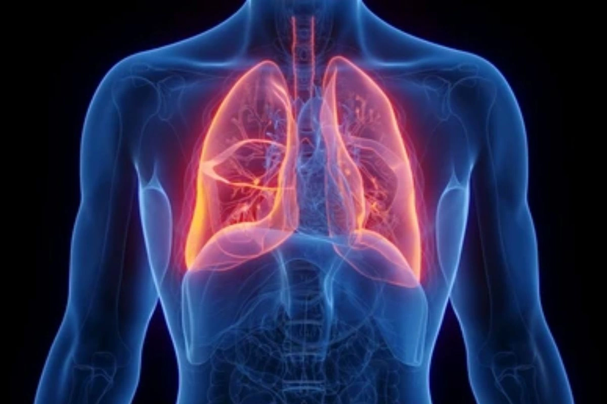 Researchers Develop Nasal Spray Gene Therapy To Target Lungs and Airways