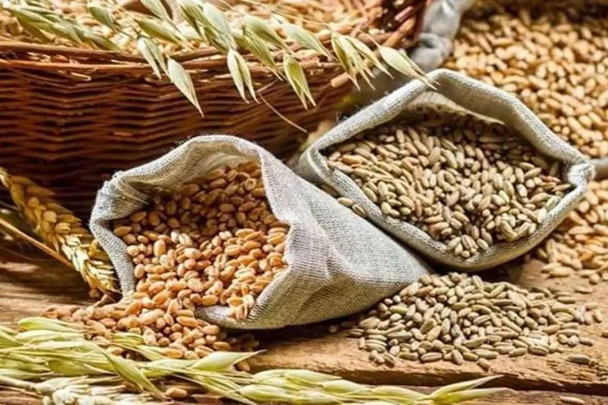India’s Foodgrain Production Hits Record 354 Million Tonnes In 2024-25