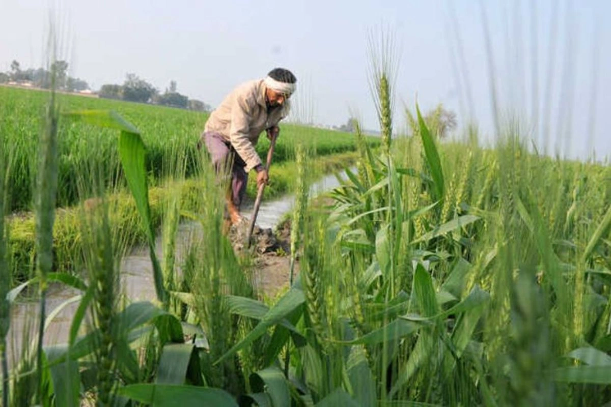 Cabinet Approves Hike In MSP For 14 Kharif Crops To Boost Farmer Incomes