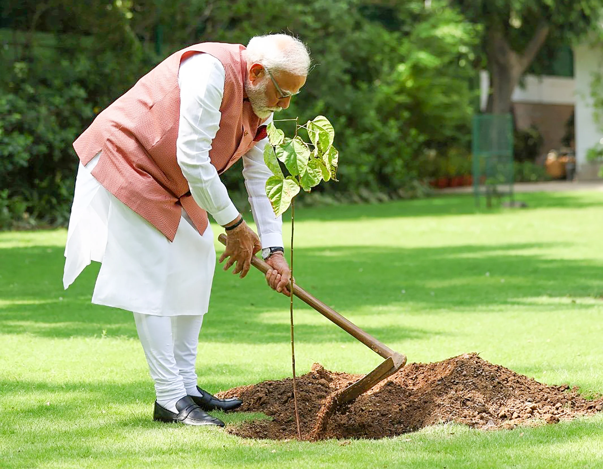 PM Modi Launches ‘Aravali Green Wall’ Project On World Environment Day