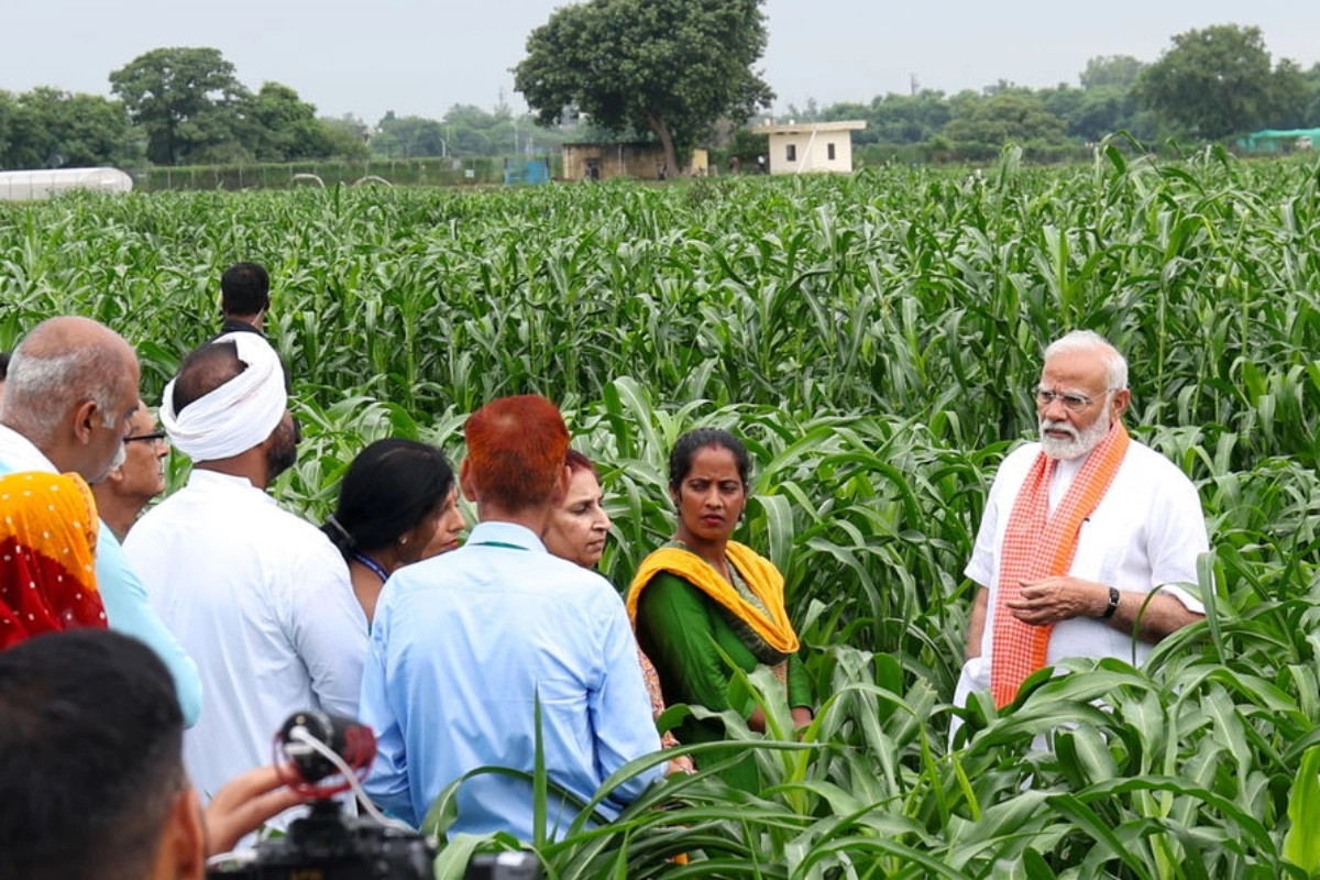 PM Modi's Beej Se Bazaar Tak Vision Reshapes Indian Agriculture