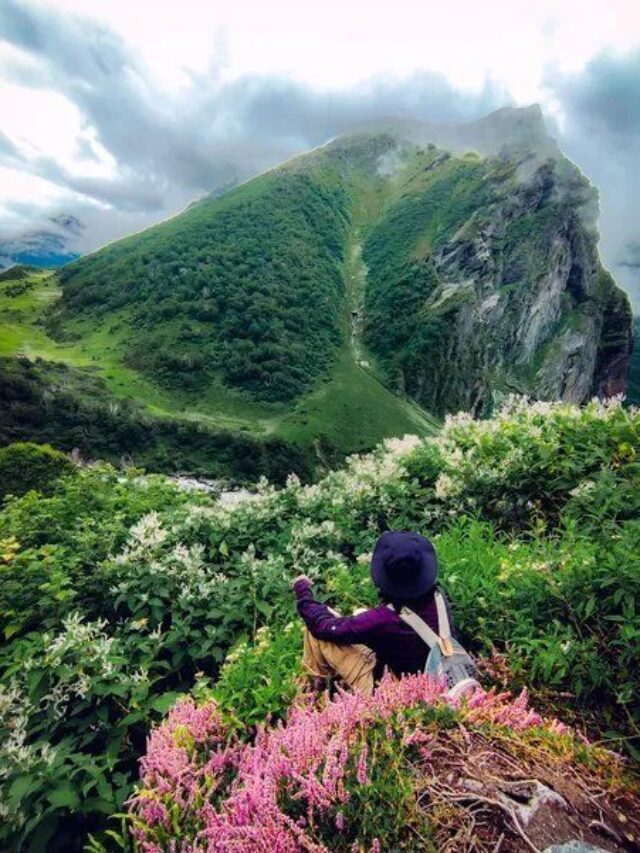 All about Valley Of Flowers, Uttarakhand