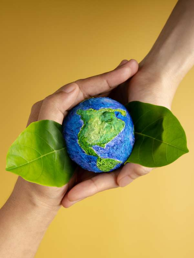 Steps To Combat Global Warming