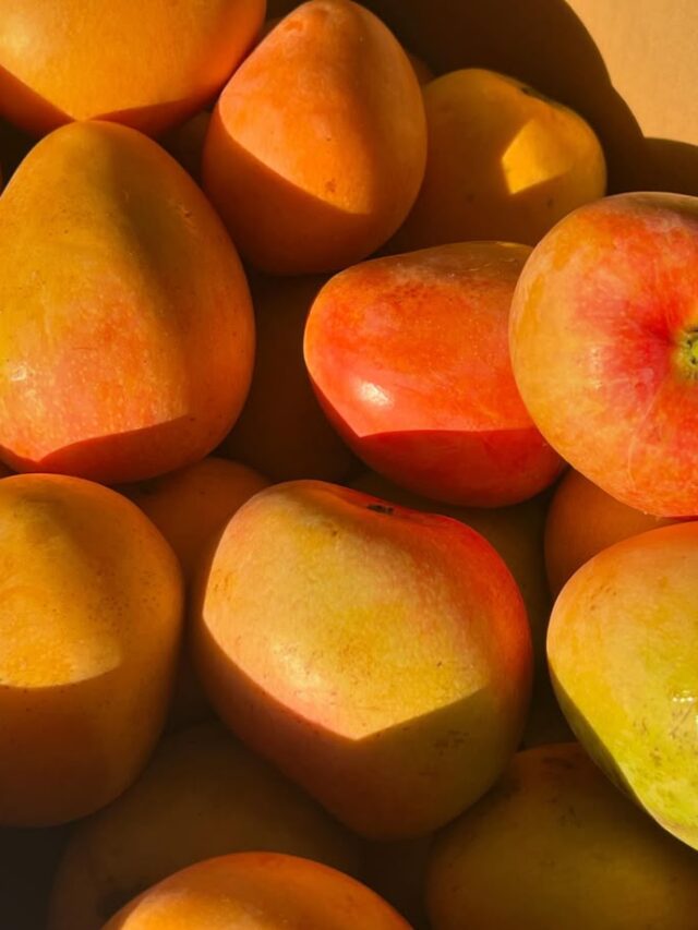 Amazing Health Benefits Of Consuming Mangoes