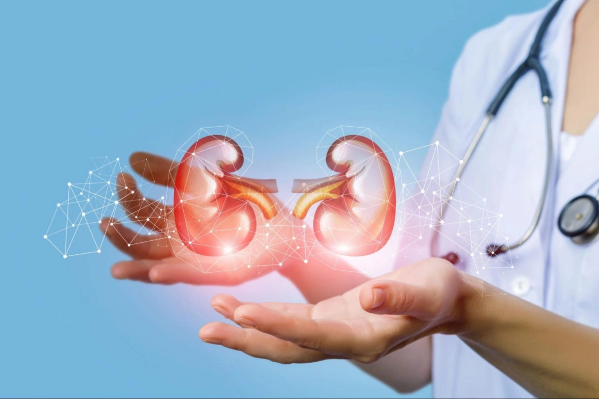 Urologists Warn; What Blood In Urine Reveals About Kidney Health