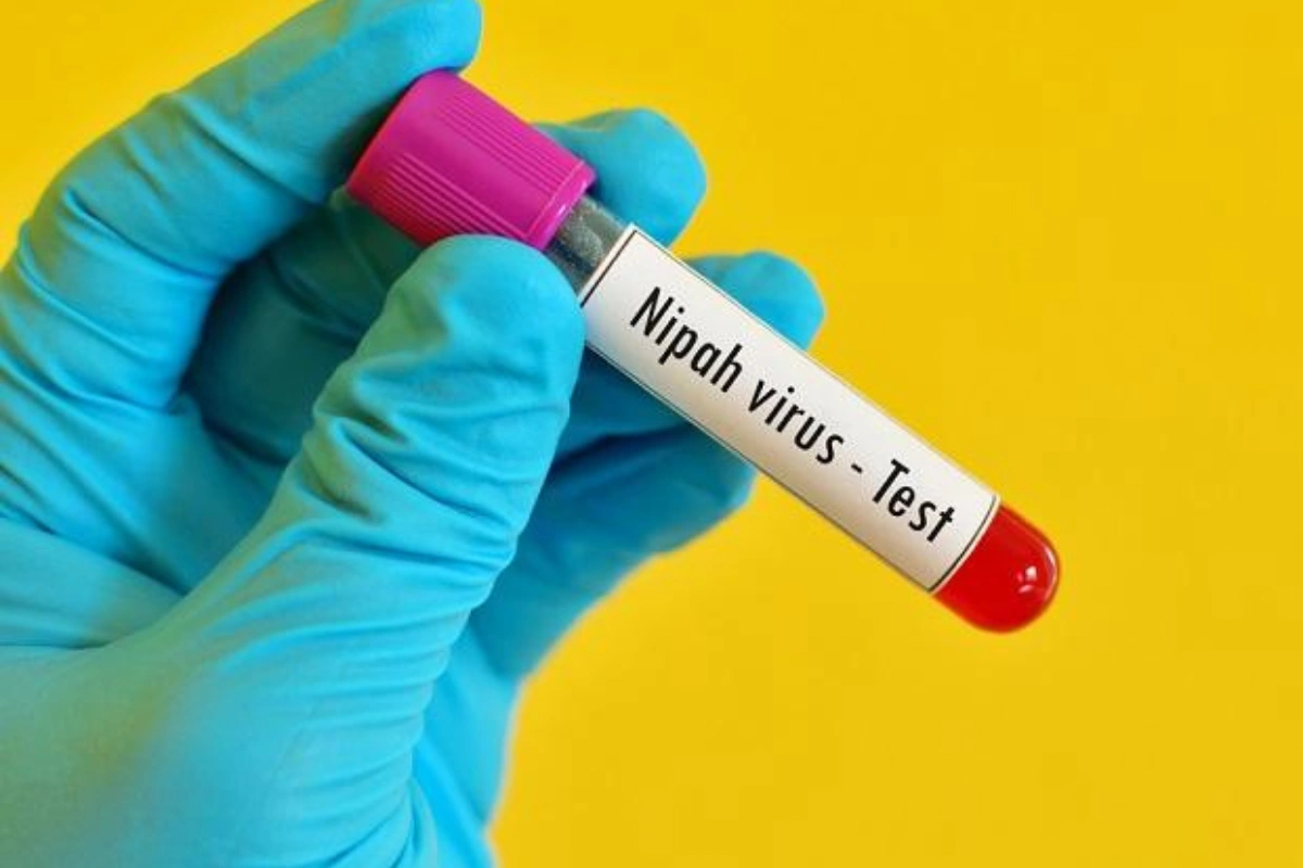 Kerala On High Alert After Fresh Nipah Virus Death In Palakkad