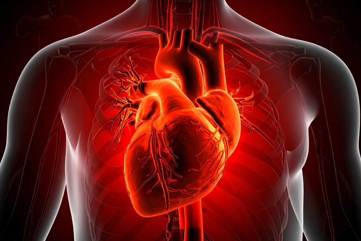 Study Links Diabetes Drug Glipizide To Increased Cardiovascular Risk