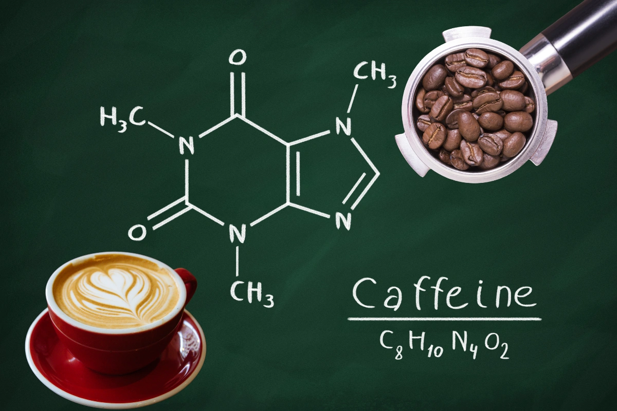 Energise Your Day: Best Caffeine Substitutes For Focus & Alertness