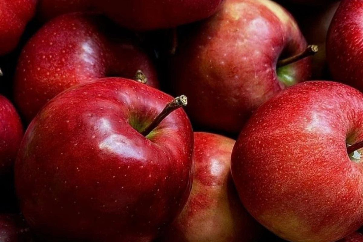 India Exports First Consignment Of Garhwali Apples To Dubai In Landmark Agricultural Push