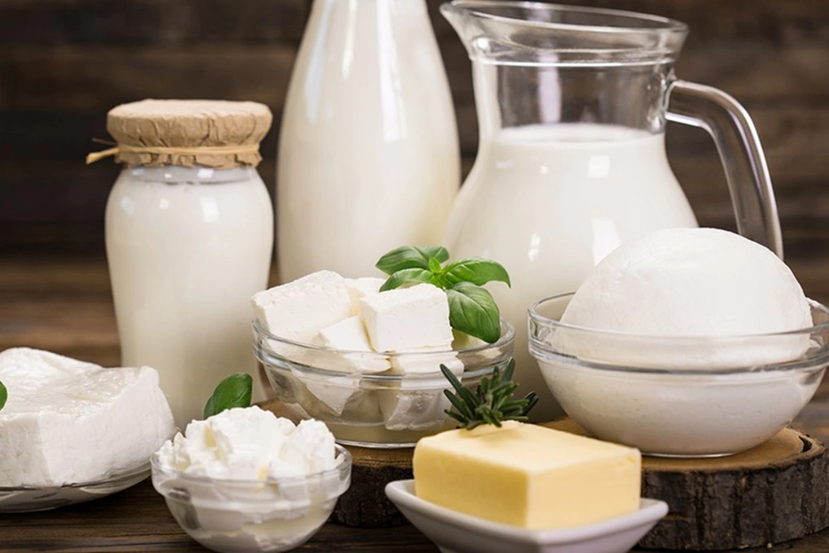 India’s Dairy Exports Surge 80% In FY25 On Trade Stalemate With US