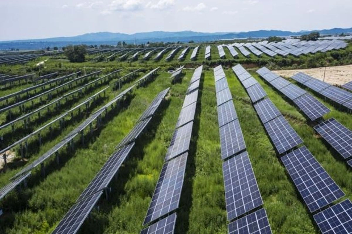 India Overtakes Japan To Become World’s Third-Largest Solar Energy Producer