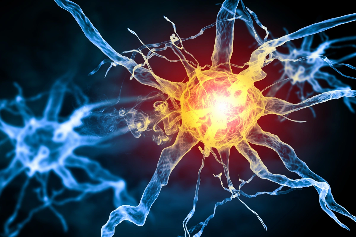 The Vagus Nerve: Your Body’s Secret To Calm & Connection