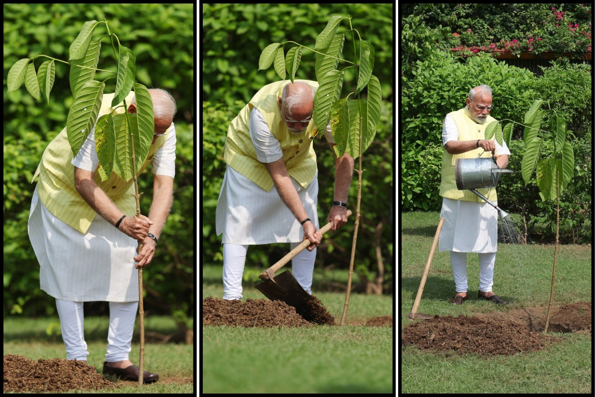 PM Narendra Modi Plants Holy Kadamb sapling Gifted By King Charles III At His Residence