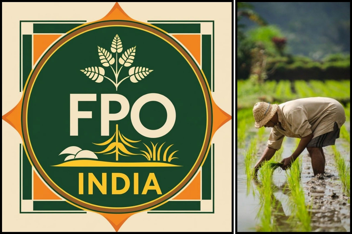 Over 50 Lakh Farmers Join 10,000 FPOs In Five Years