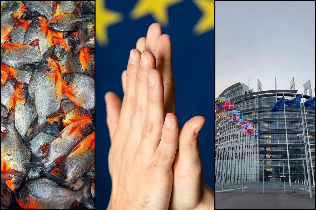 EU Clears 102 More Indian Seafood Units For Export