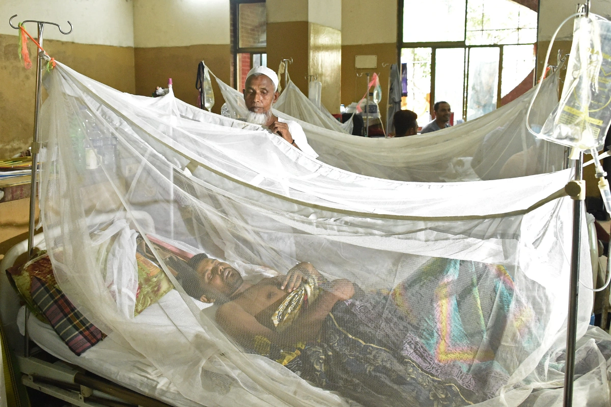 Dengue Death Toll In Bangladesh Reaches 269 In 2025
