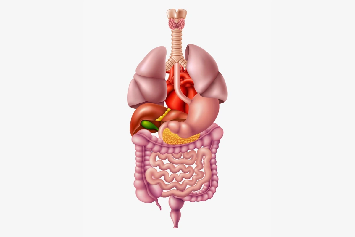 Mumbai Surgeon Flags 8 Everyday Habits Quietly Harming Your Organs