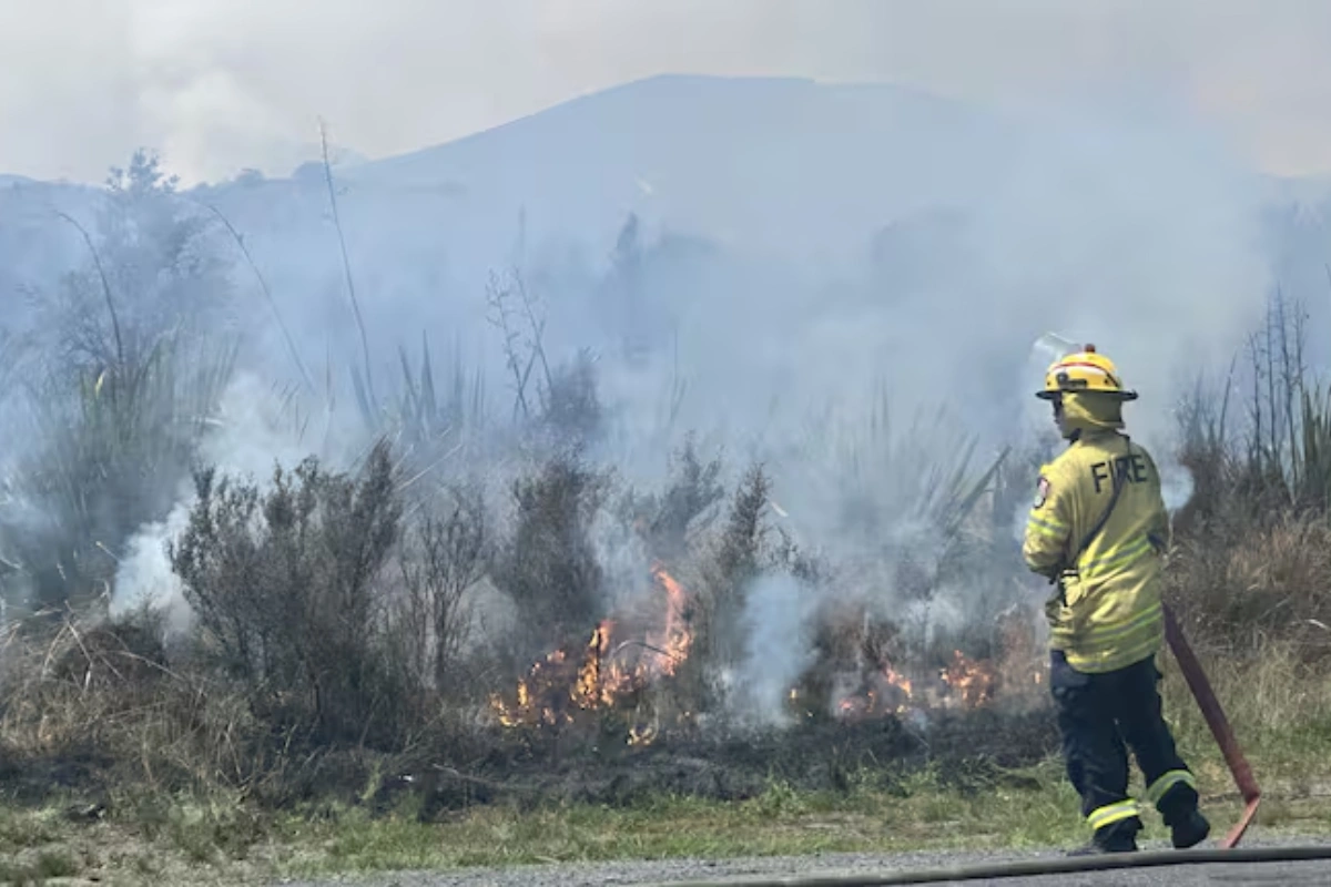 Massive Wildfire Engulfs New Zealand’s Tongariro National Park; 1,600 Hectares Affected