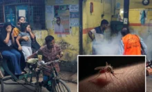 Dengue Death Toll In Bangladesh Crosses 310 As Outbreak Worsens