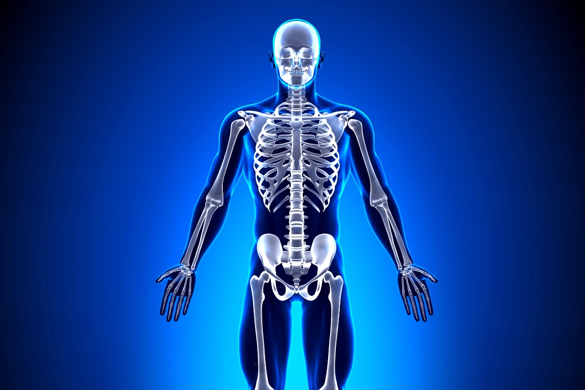 Japanese Scientists Heal Spinal Fractures Using Fat-Derived Stem Cells