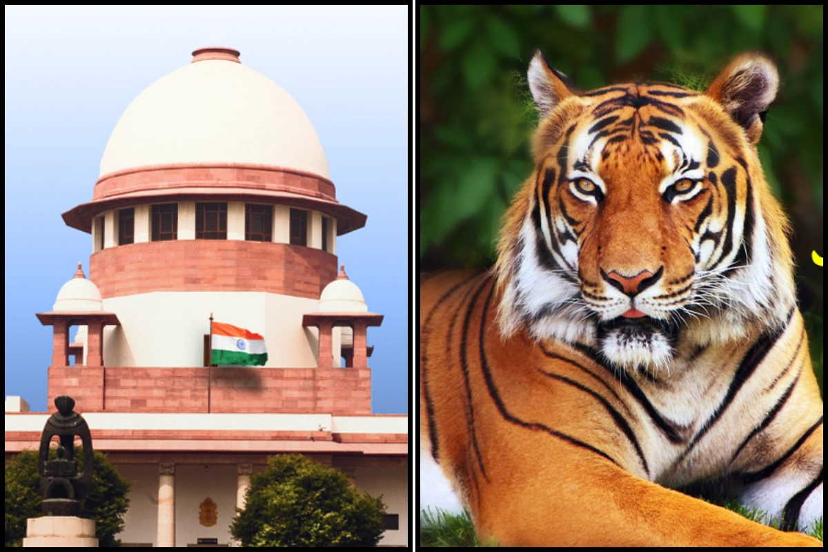 Supreme Court Halts Tiger Safaris In Corbett Core; Eight Officials Face CBI Charges