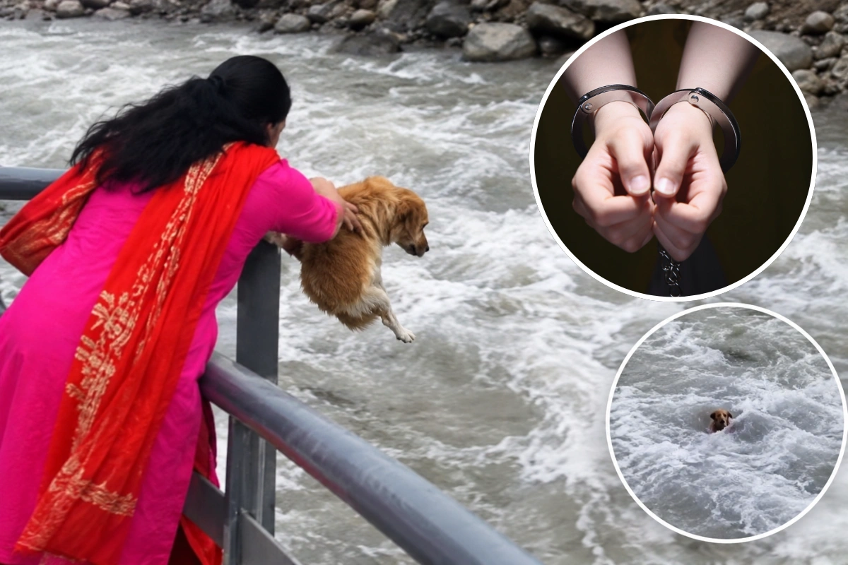 Woman Arrested In Bajhang After Video Shows Her Throwing Dog Into River