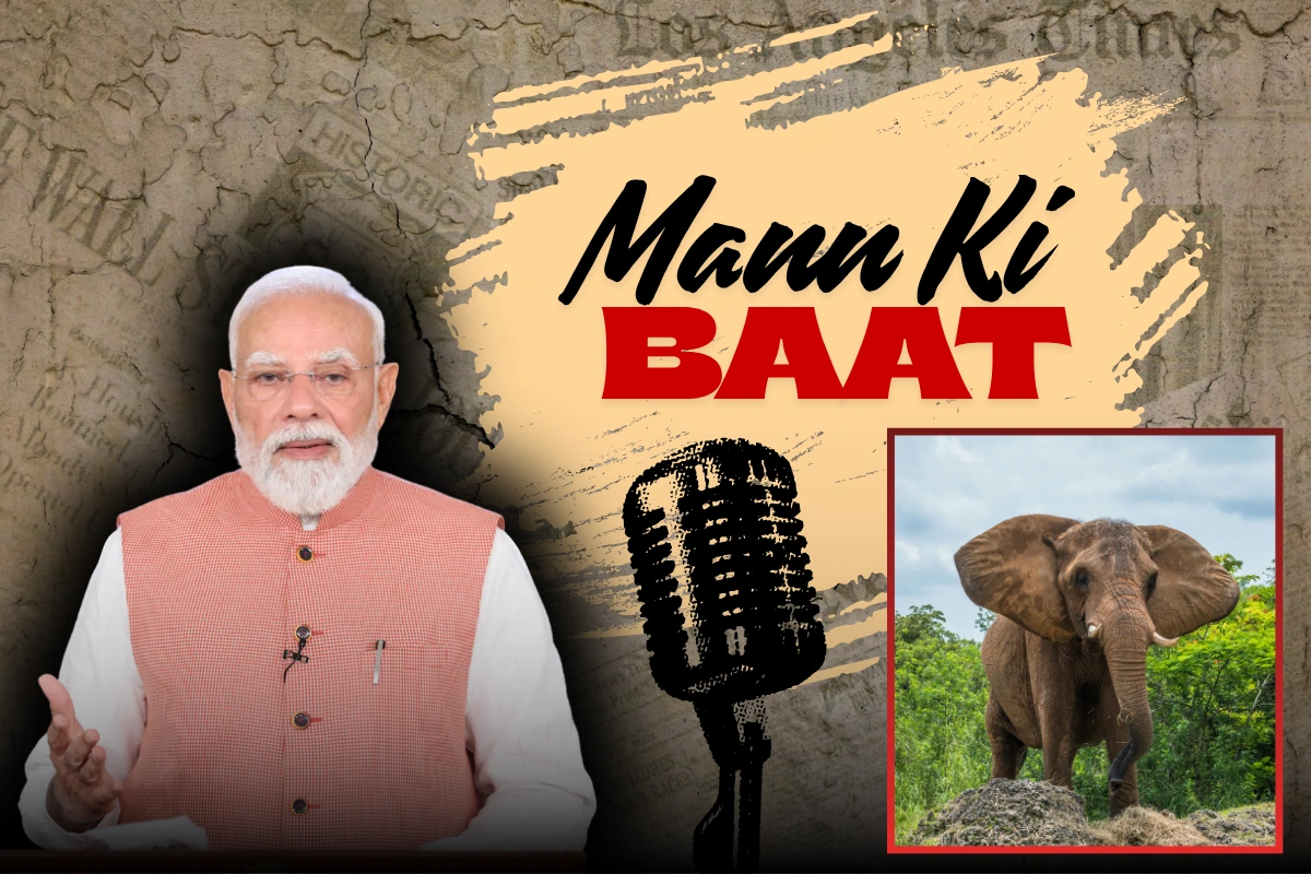 ‘Elephants Have Returned’: PM Modi Highlights Assam Conservation