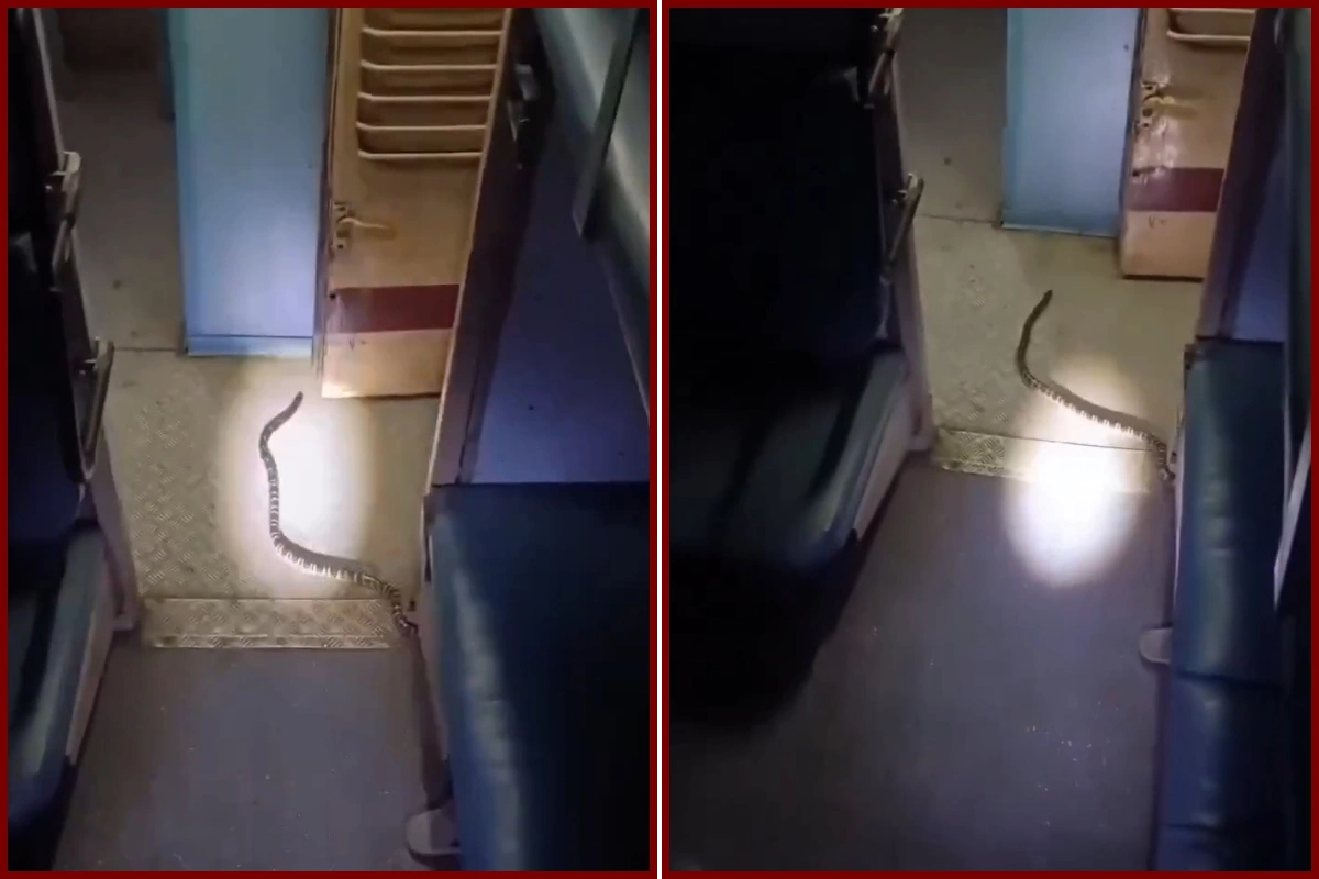 Katihar Express Snake Video Goes Viral; Passengers Seen In Panic