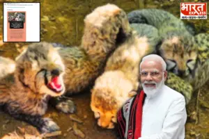 PM Modi Highlights Birth Of Five Cheetah Cubs At Kuno National Park