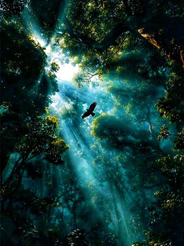 Amazing Facts About Nature