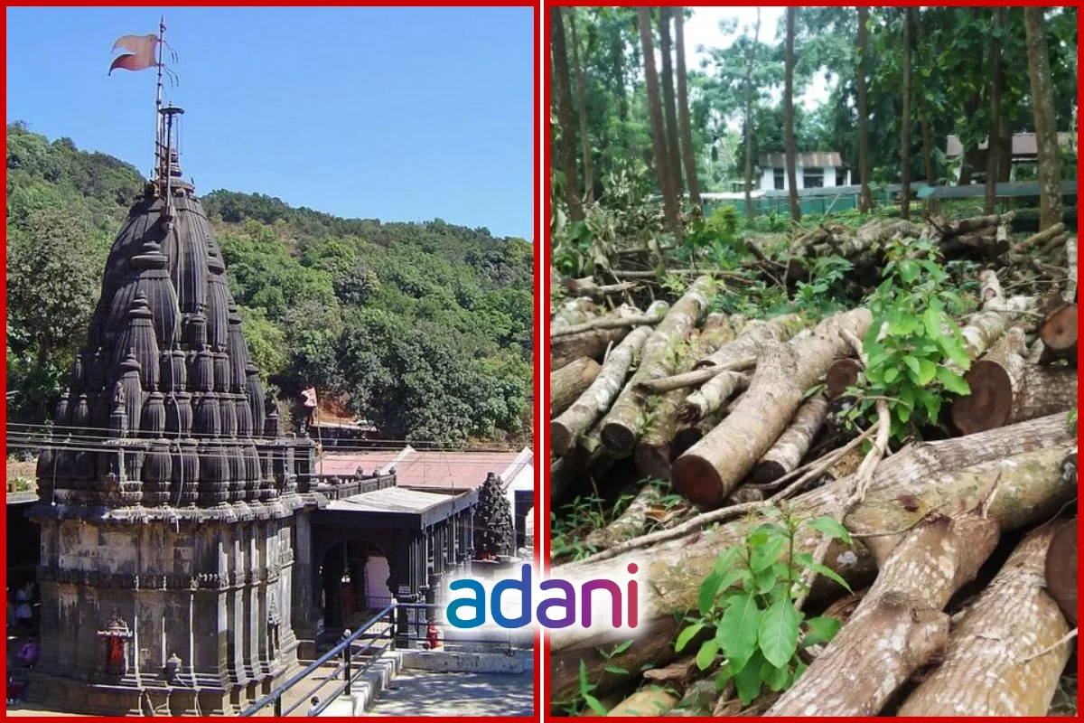 Adani Group Rejects Tree Felling Claims Near Bhimashankar Temple