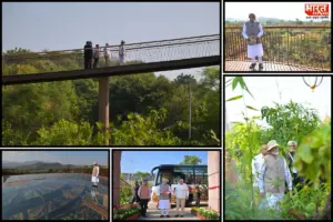 PM Modi Visits Rain Forest; Vaman Vriksha Vatika At Ekta Nagar On Sardar Patel’s Birth Anniversary